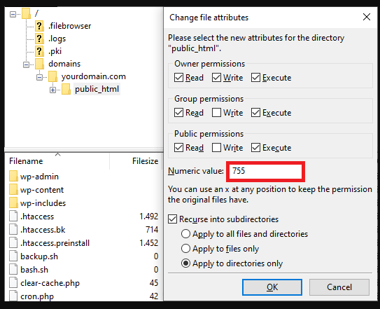 numeric value 755 to allow
